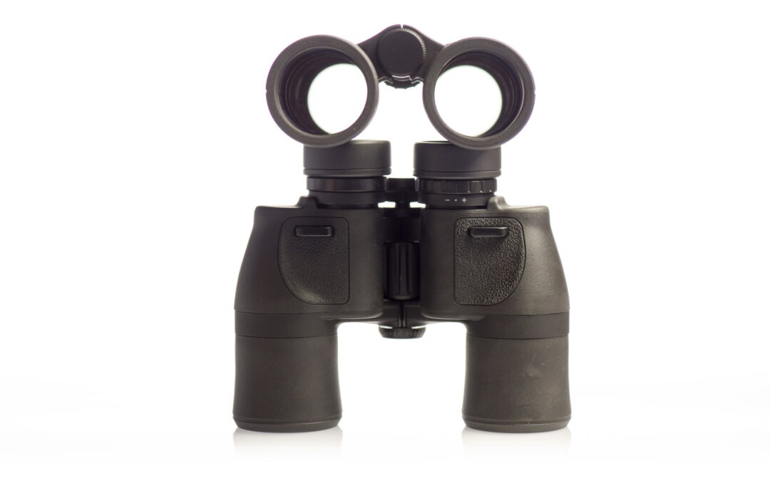 Bien choisir sa paire de jumelles